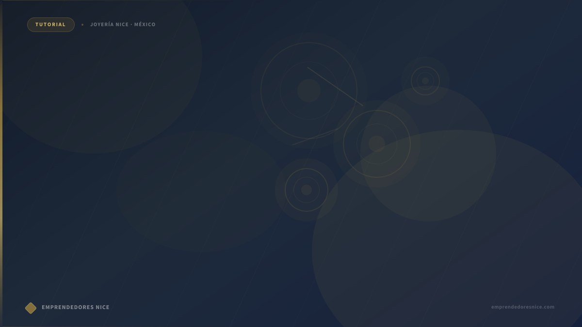 Equipo de empresarias Nice trabajando juntas para crecer su red de negocio