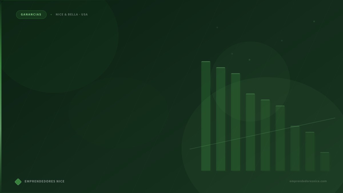 Diferentes formas de ganar dinero con Nice & Bella en Estados Unidos