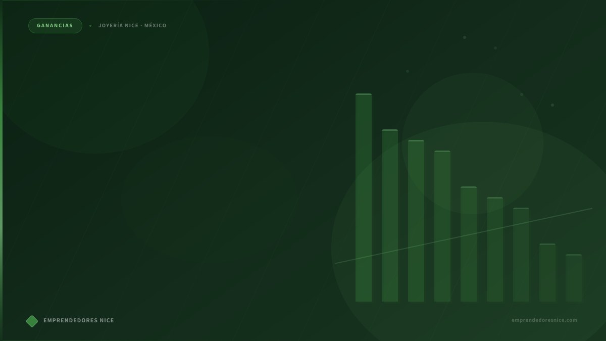 Plan de carrera Nice con rangos, puntos y beneficios explicados